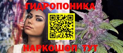 кокс Бузулук