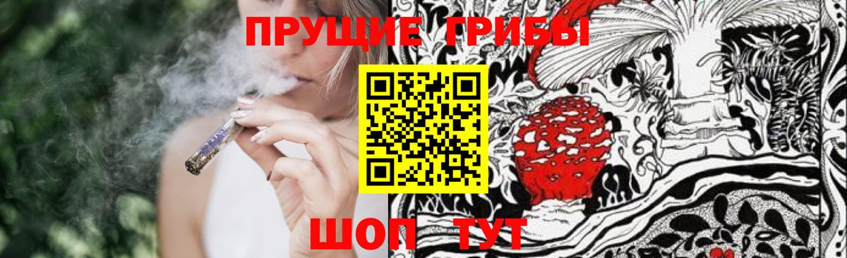 Галлюциногенные грибы прущие грибы Тула