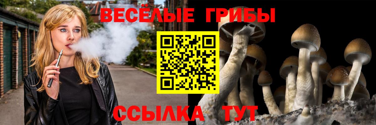 Псилоцибиновые грибы Magic Shrooms  где найти наркотики  Тула  Вход с VPN  Псилоцибиновые грибы GOLDEN TEACHER 